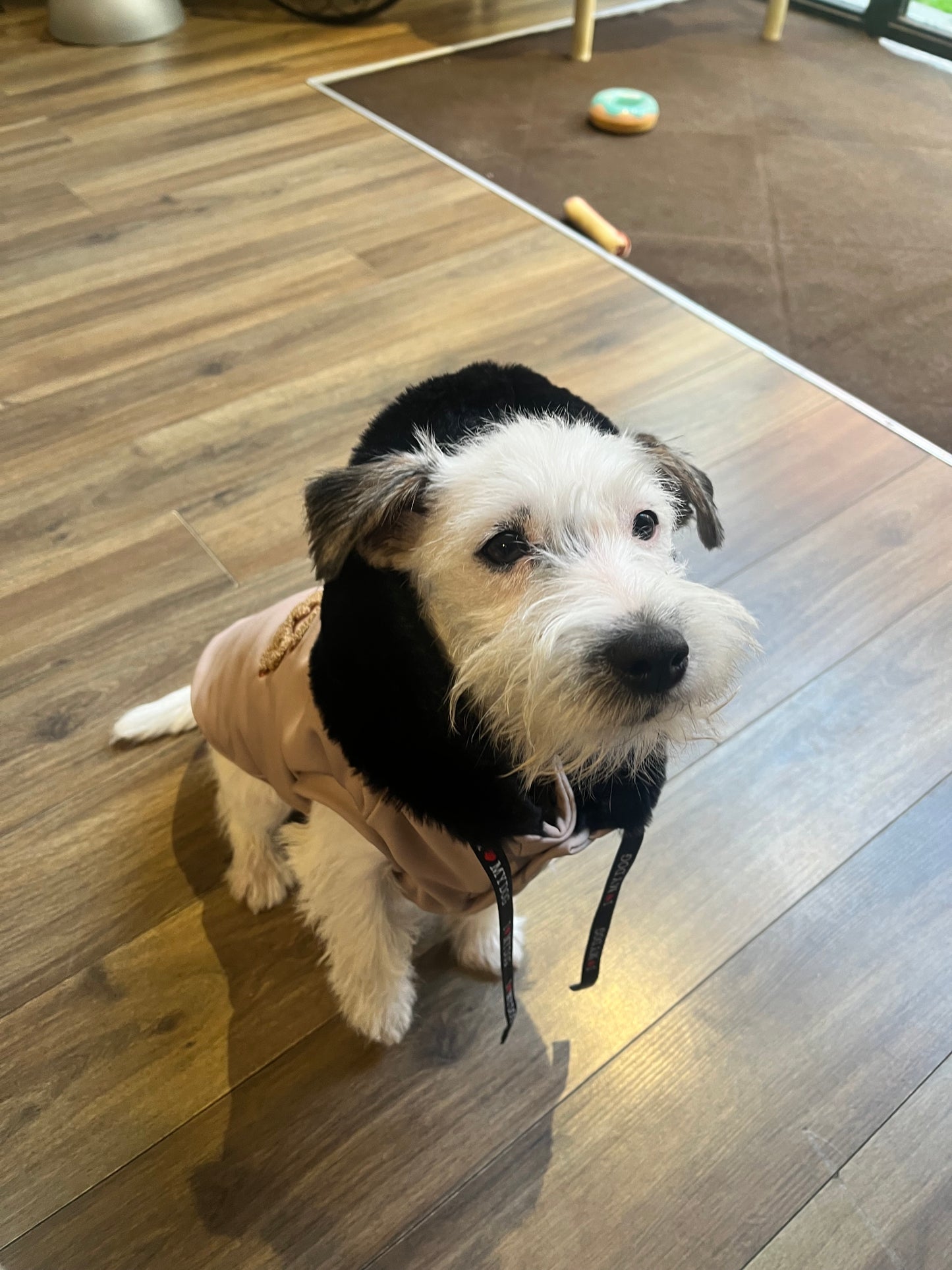 Felpa “Winter Vibes” - I Love My Dog