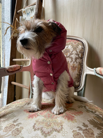 Piumino "Kapsula Superlight Puffer NEW" - I Love My Dog