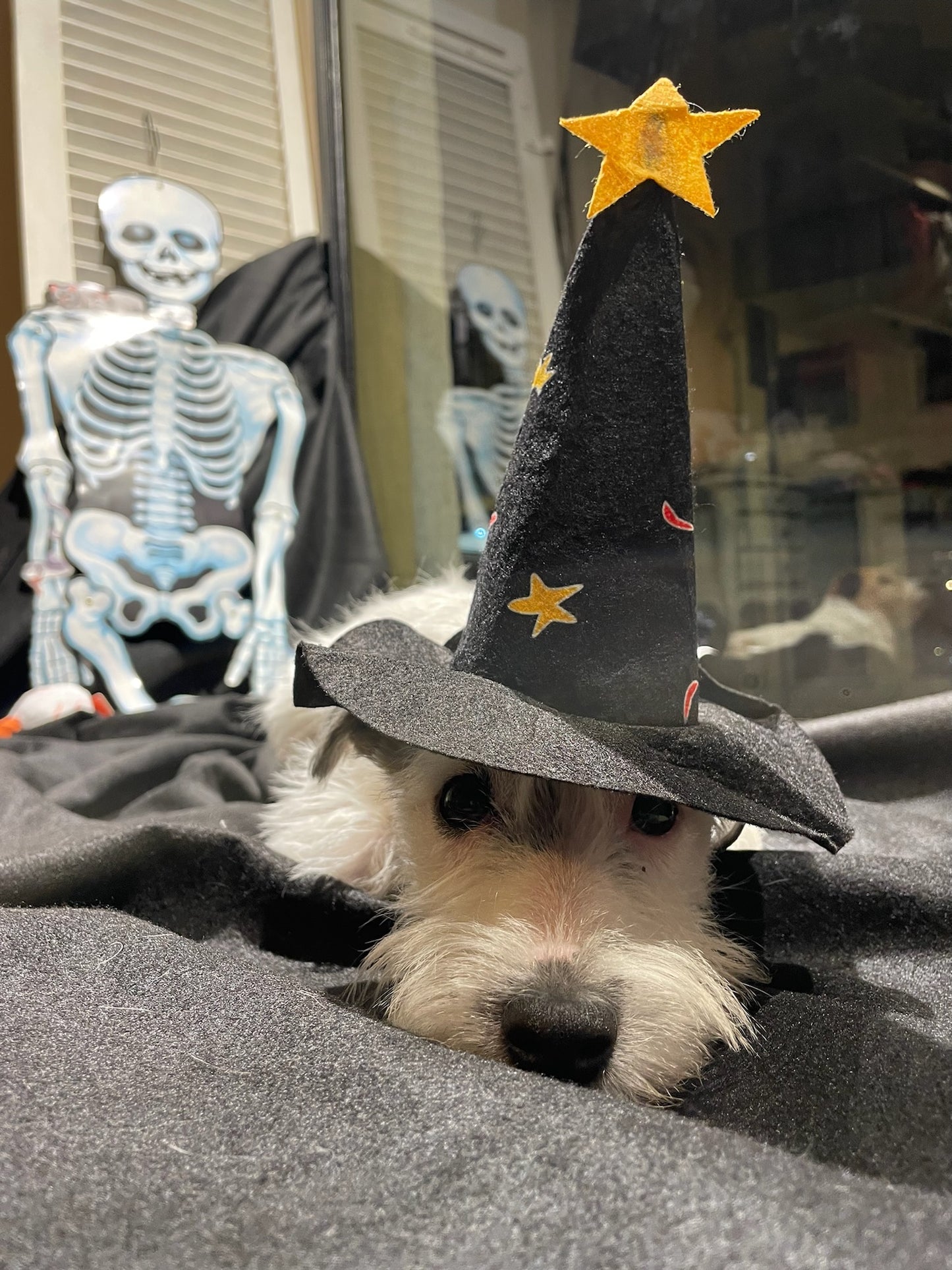 Cappello Strega - Ferribiella