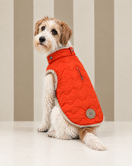 Piumino Reversibile "DARCY" - Milk & Pepper
