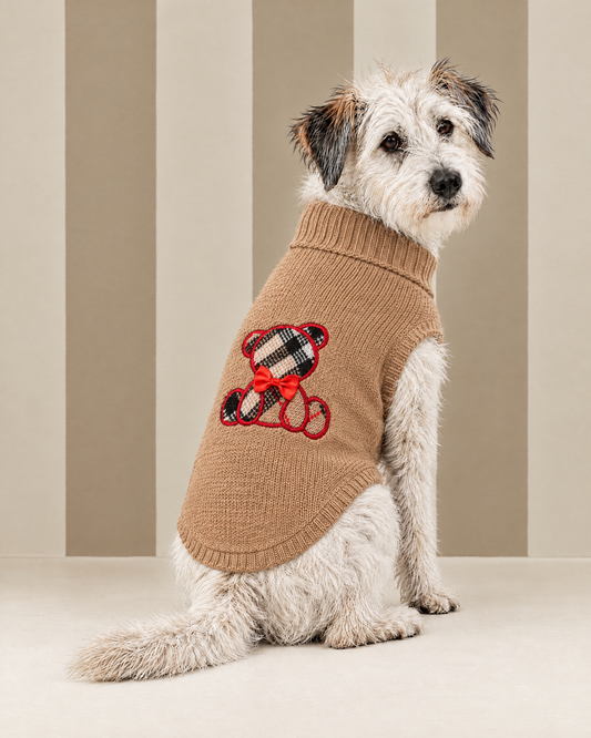 Maglioncino "Gìgì Teddy Tartan" - My Dog