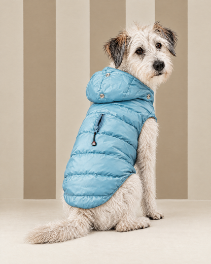 Piumino "Kapsula Superlight Puffer" - I Love My Dog