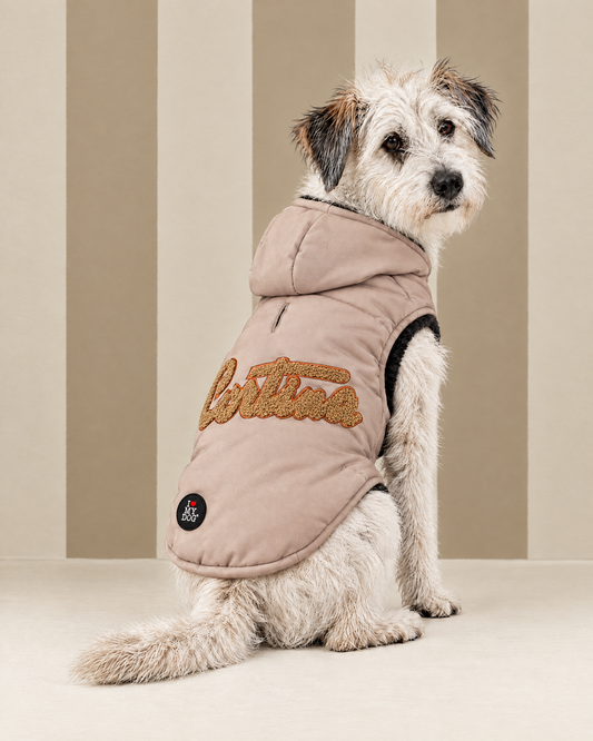 Felpa “Winter Vibes” - I Love My Dog