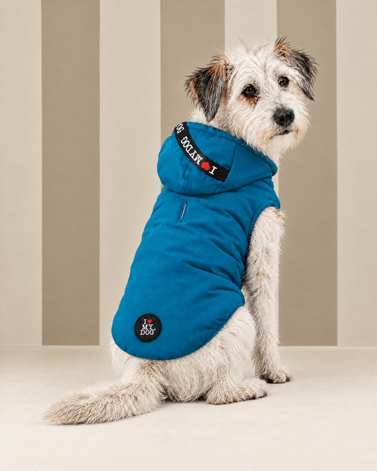 Felpa “Sporty Logo NEW FW26” - I Love My Dog