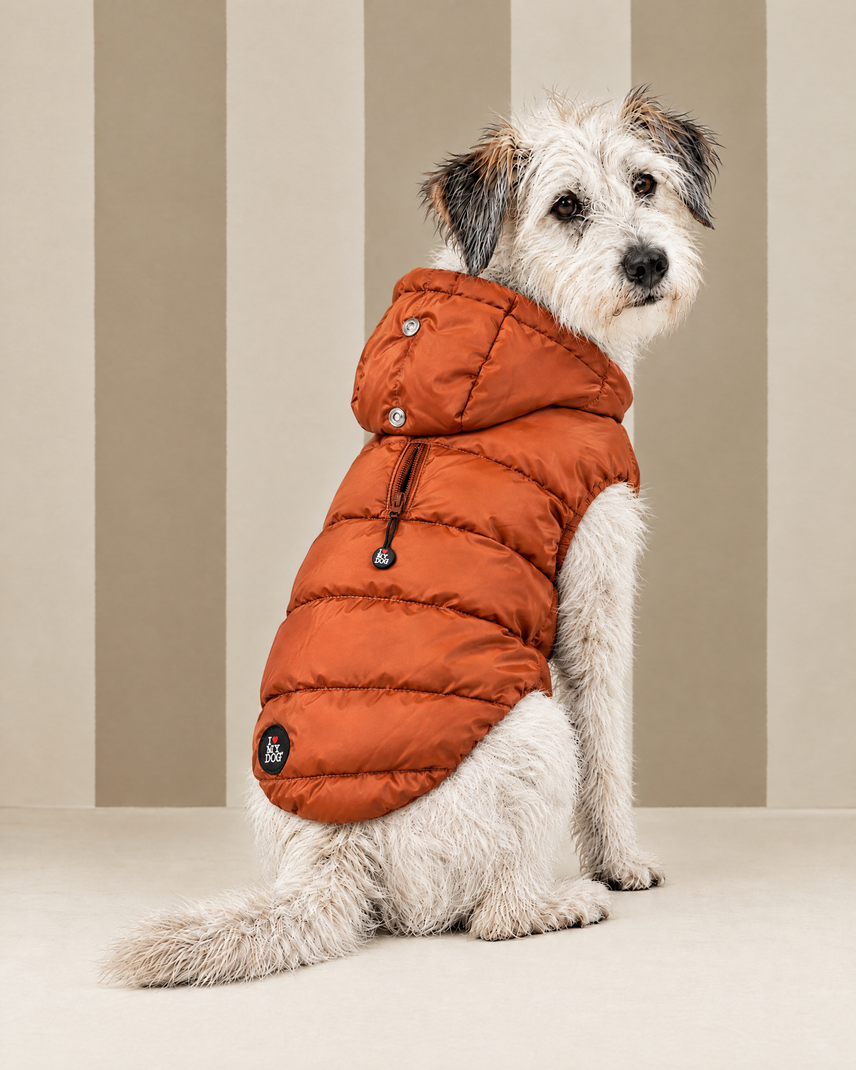 Piumino "Kapsula Superlight Puffer NEW FW26" - I Love My Dog