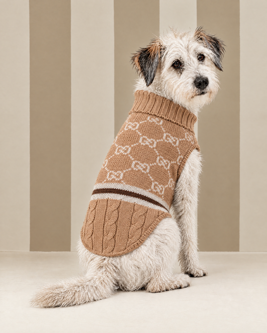Maglioncino "Infinity Trecce e Coste 2" - My Dog