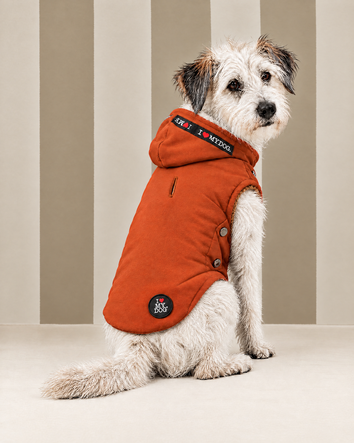 Felpa “Sporty Logo NEW FW26” - I Love My Dog