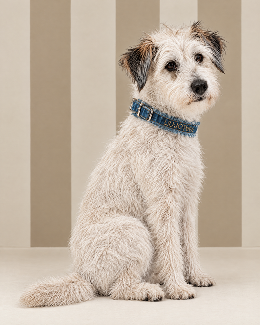Collare Denim - Liu Jo