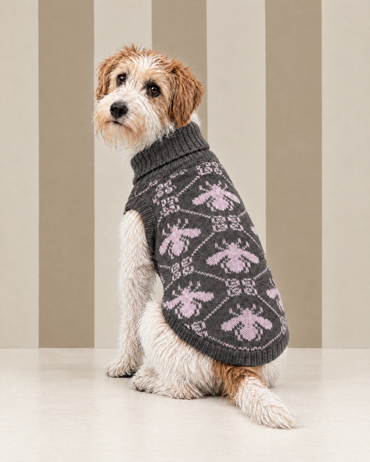 Maglioncino "Jacquard BeeQueen - Gìgì" - My Dog