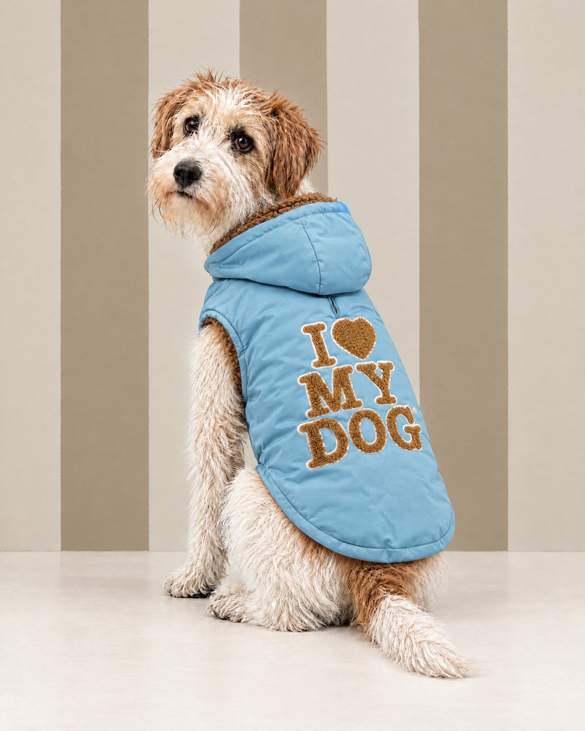 Felpa “Sporty Logo New” - I Love My Dog