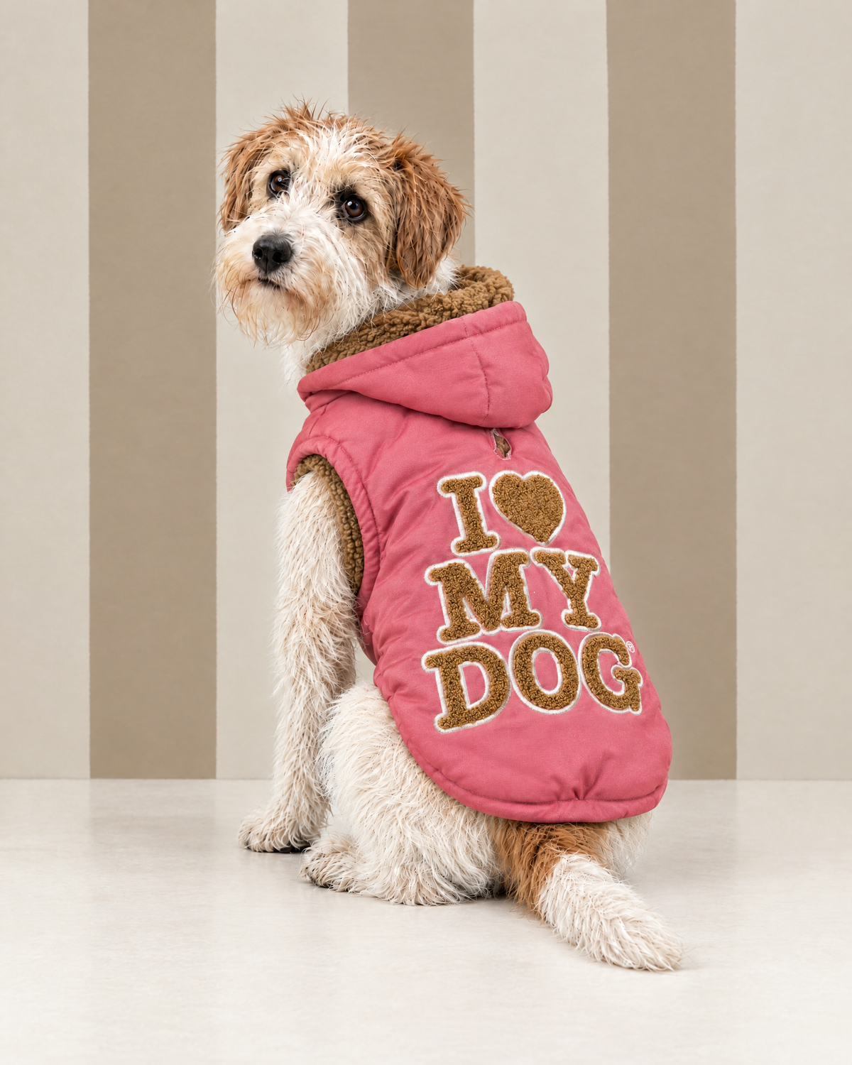 Felpa “Sporty Logo New” - I Love My Dog