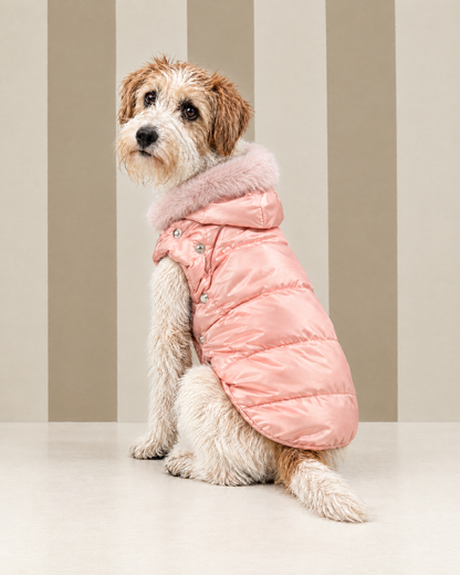 Piumino "Ecopuffer Elegant NEW FW26" - I Love My Dog