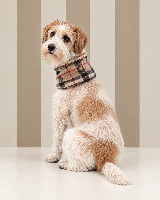 Scaldacollo "Tartan" - My Dog