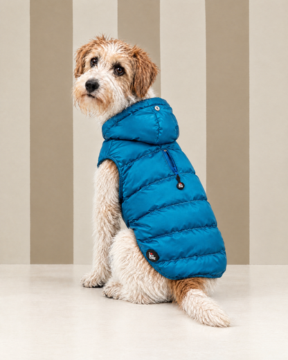 Piumino "Kapsula Superlight Puffer NEW FW26" - I Love My Dog