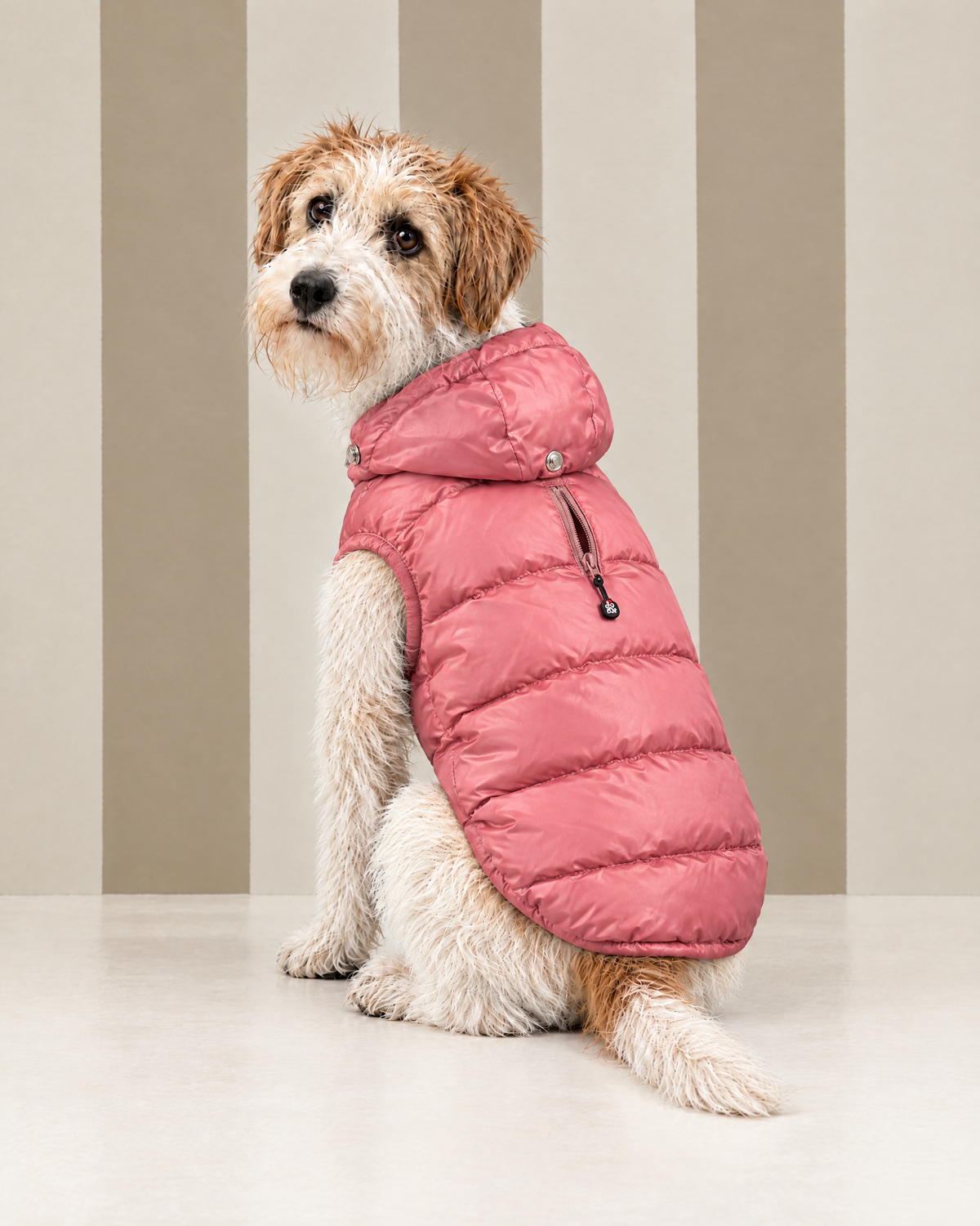 Piumino "Kapsula Superlight Puffer" - I Love My Dog