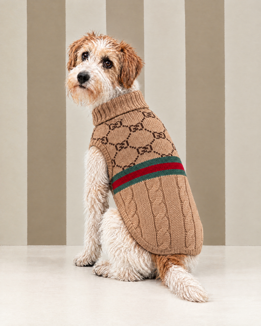 Maglioncino "Infinity Trecce e Coste" - My Dog