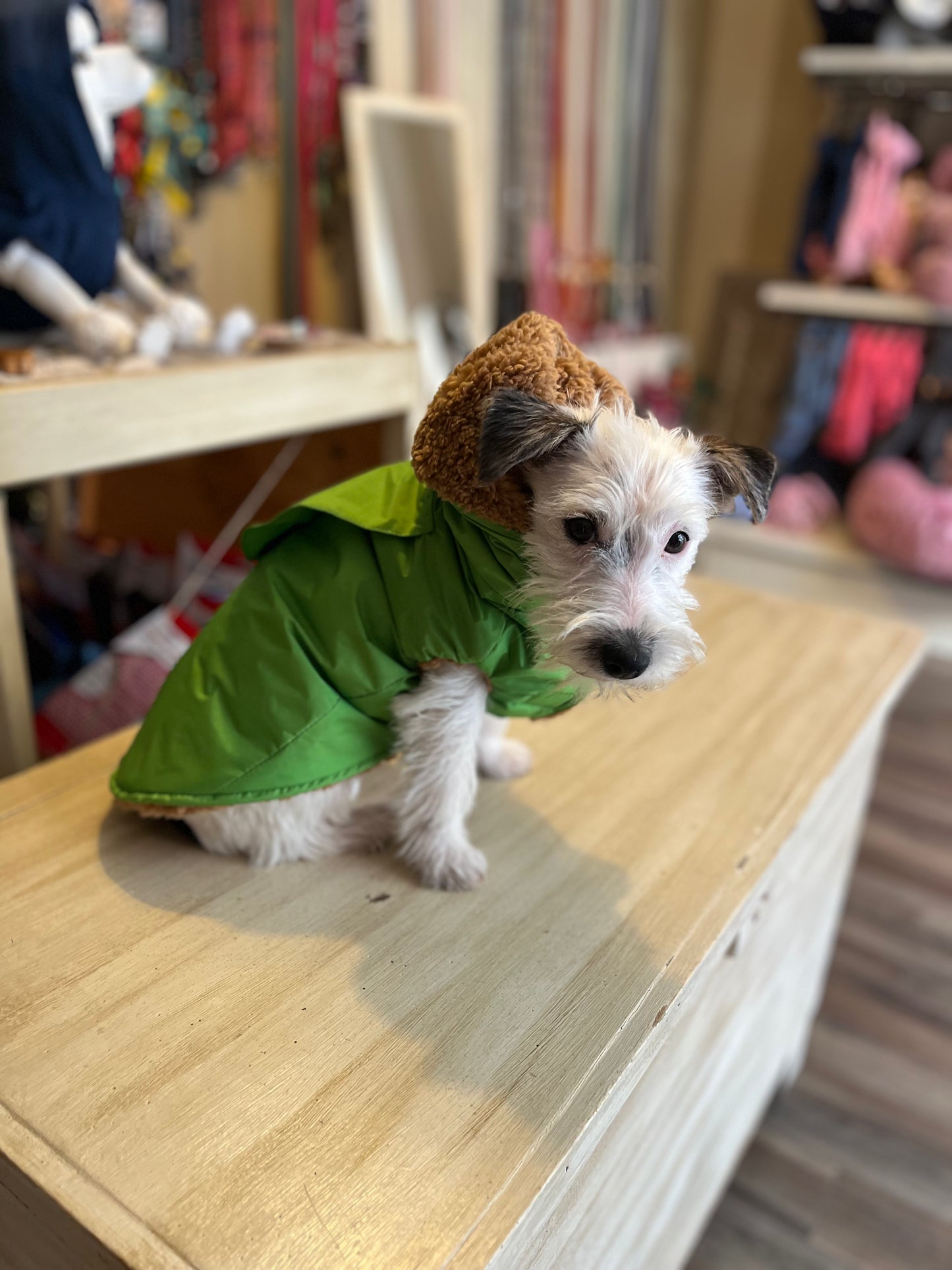 Impermeabile “Rainjacket Sporty New" - I Love My Dog