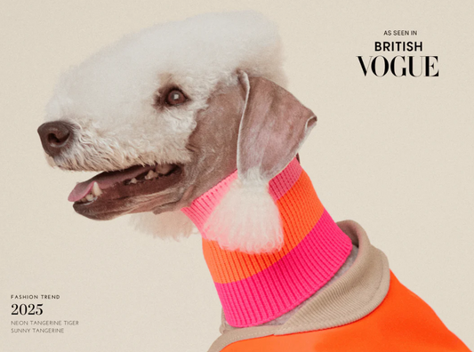 Glow Loop – Fascia Collo Neon per Cani in Nylon Riciclato | 3 Misure | Alta Visibilità & Comfort

