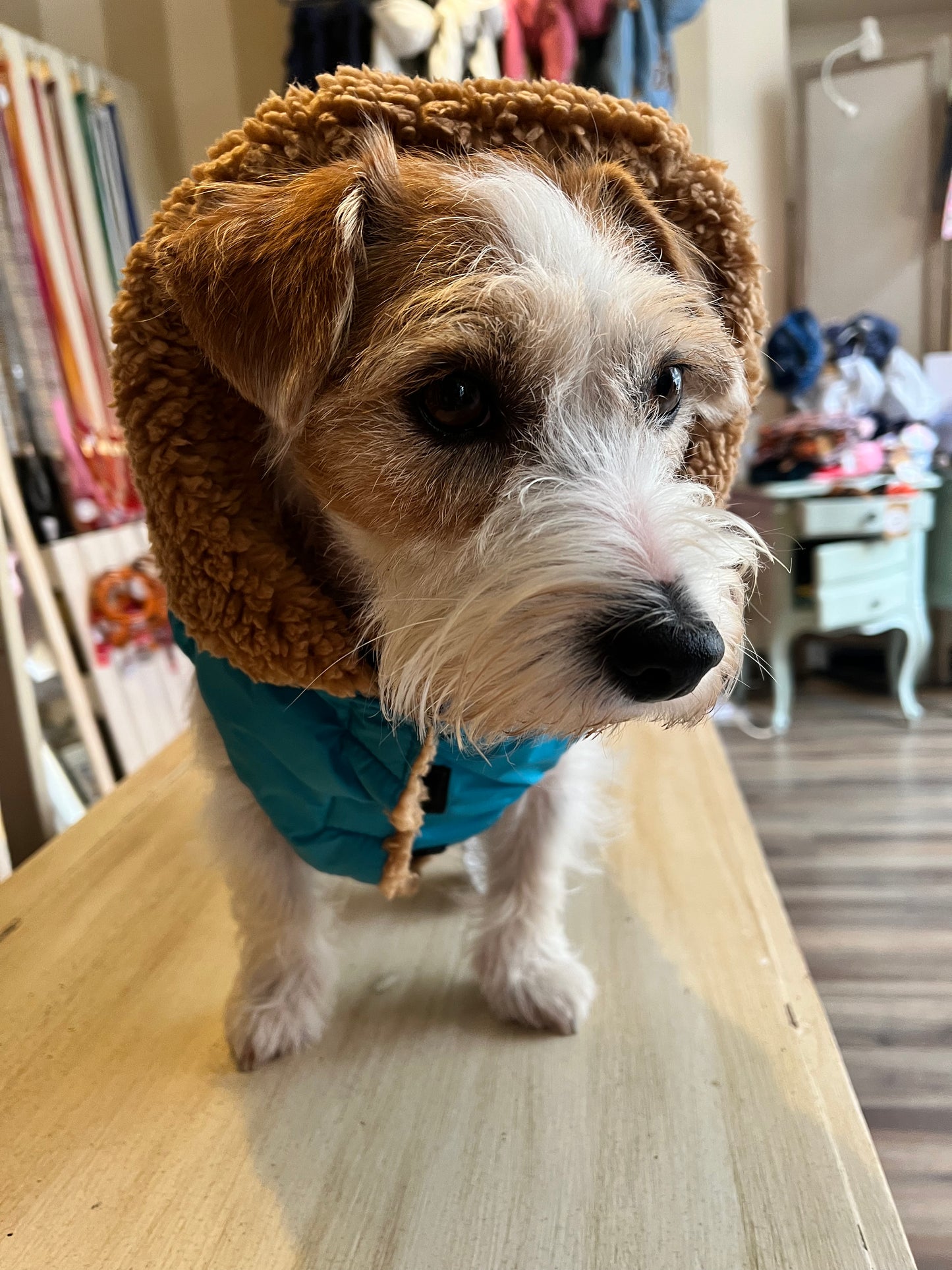 Impermeabile “Rainjacket Sporty New" - I Love My Dog