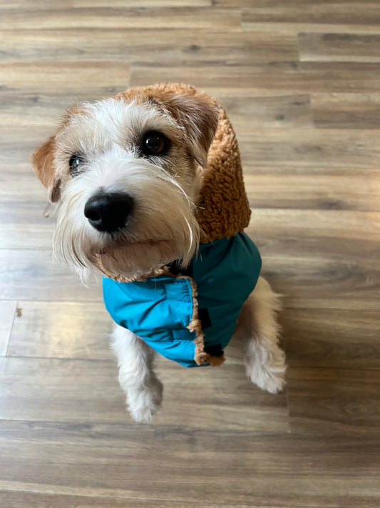 Impermeabile “Rainjacket Sporty New" - I Love My Dog