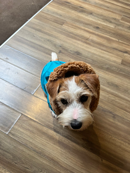 Impermeabile “Rainjacket Sporty New" - I Love My Dog