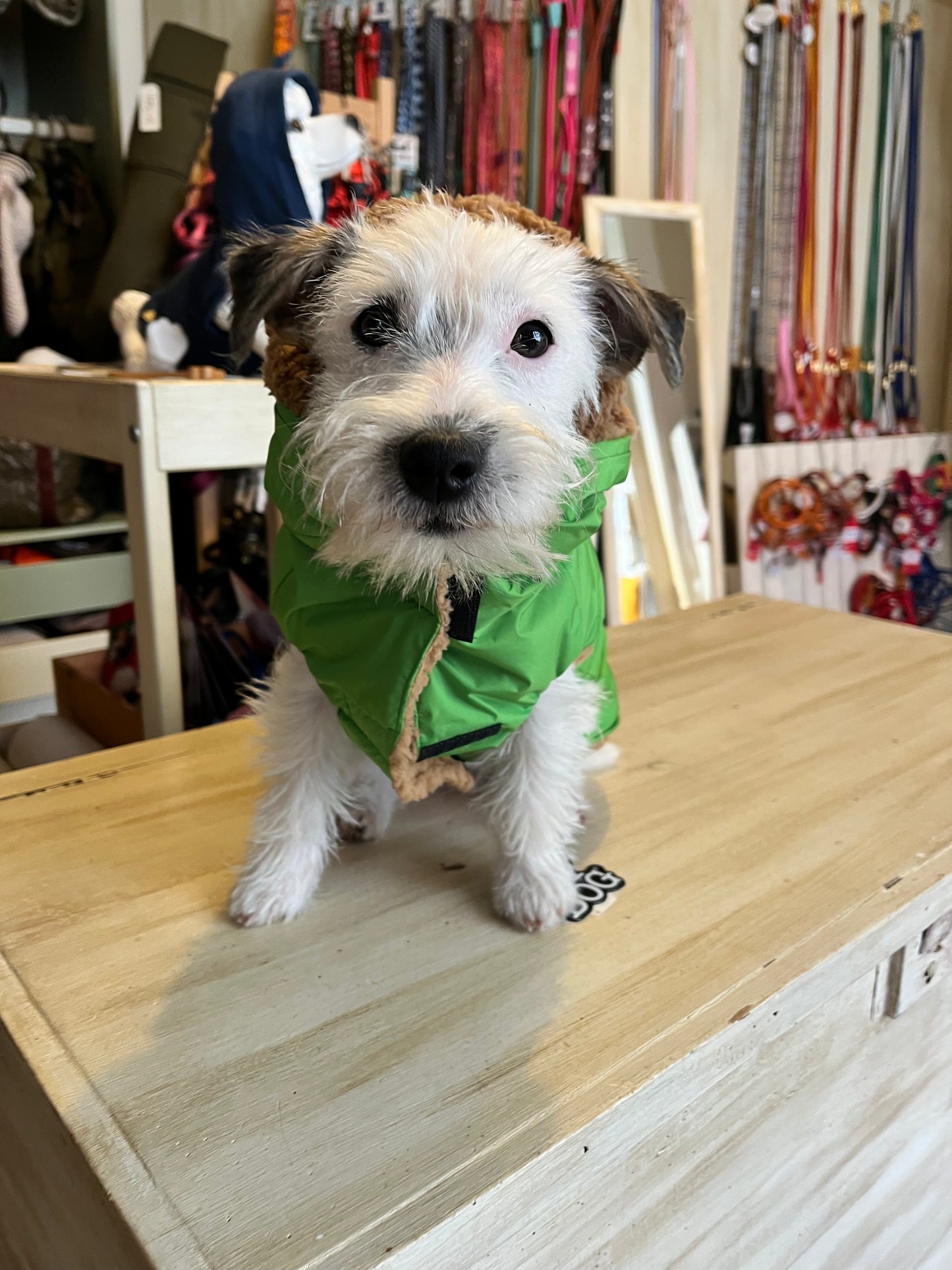 Impermeabile “Rainjacket Sporty New" - I Love My Dog
