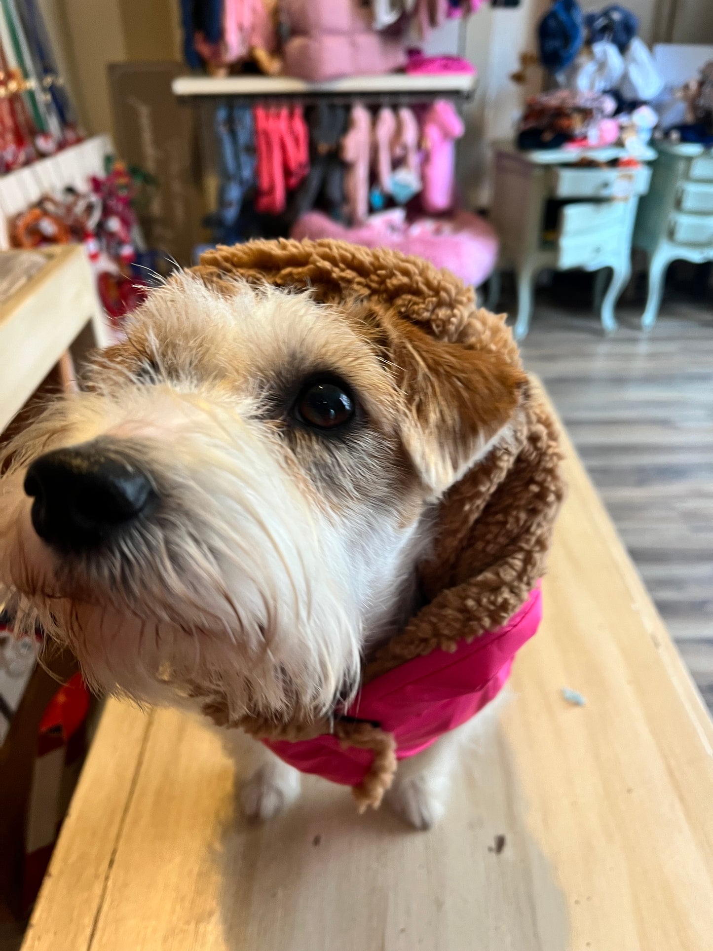 Impermeabile “Rainjacket Sporty New" - I Love My Dog