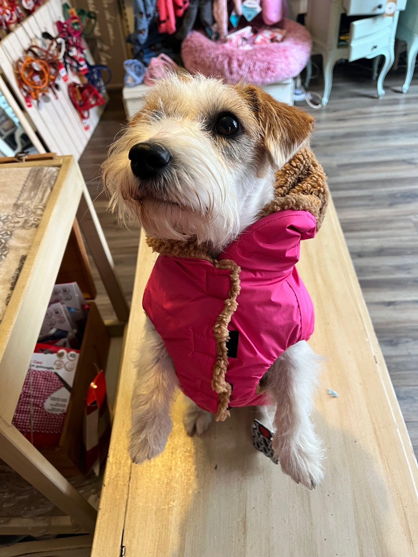 Impermeabile “Rainjacket Sporty New" - I Love My Dog