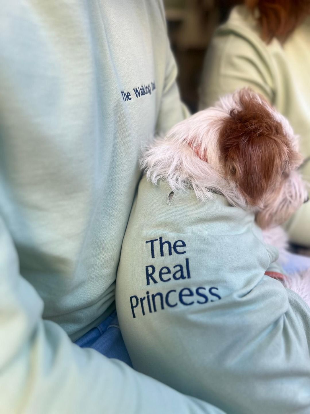 Felpa felpa coordinata e su misura - Da Tommy Pet Boutique & Violante