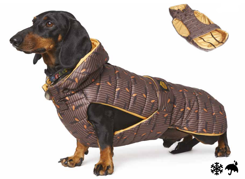 Piumino per Bassotti - Fashion Dog