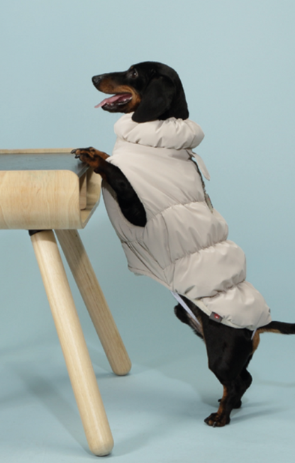 Piumino "Candy Light" - Camon