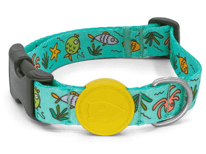 Collare "Ocean Trek" Recycled - Morso