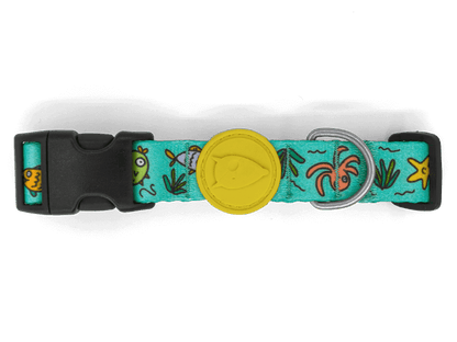 Collare "Ocean Trek" Recycled - Morso