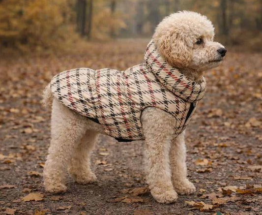 Piumino "Candy Oxford" - Camon