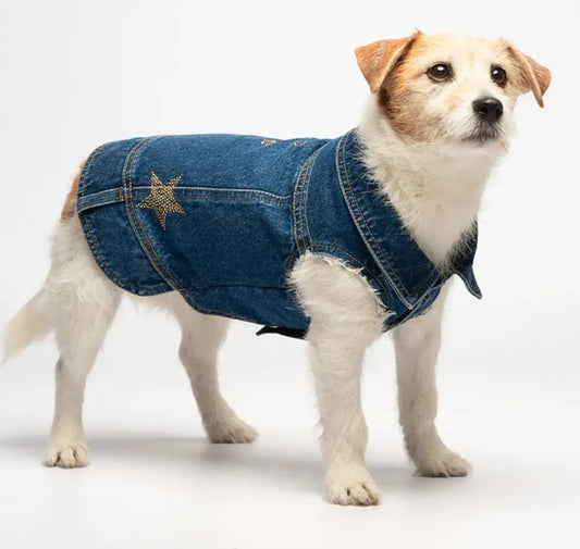 Giubbotto in denim - Liu Jo