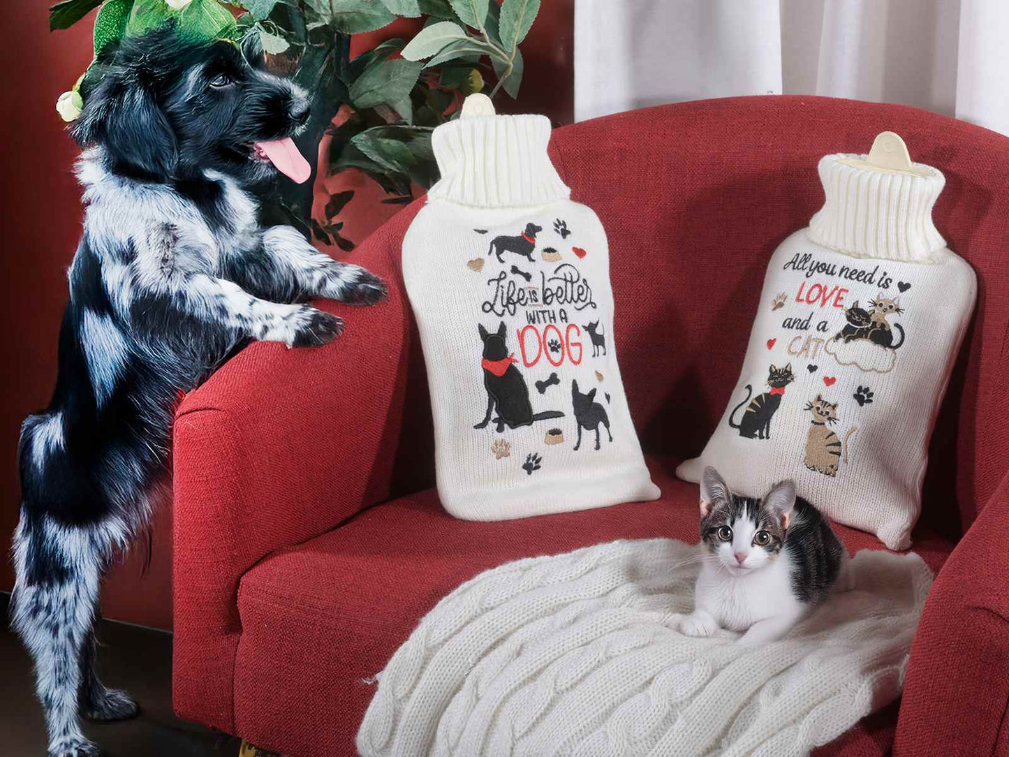 Borsa per l'acqua calda - Da Tommy Pet Boutique