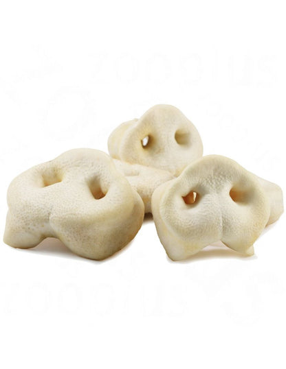 Musetto di maiale - Più Buono Barf