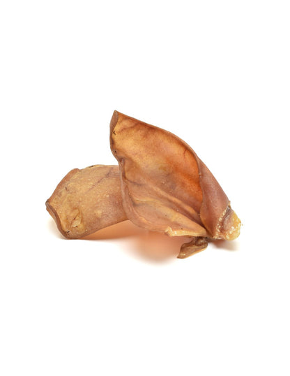 Orecchie di maiale iberico - Più Buono Barf