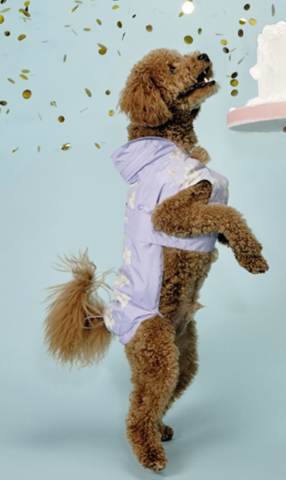 Impermeabile "Donald" NEW - Camon