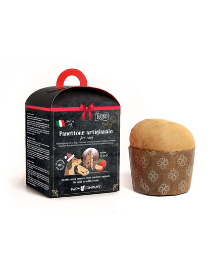 Panettone artigianale per cani alla Mela - Farm Company