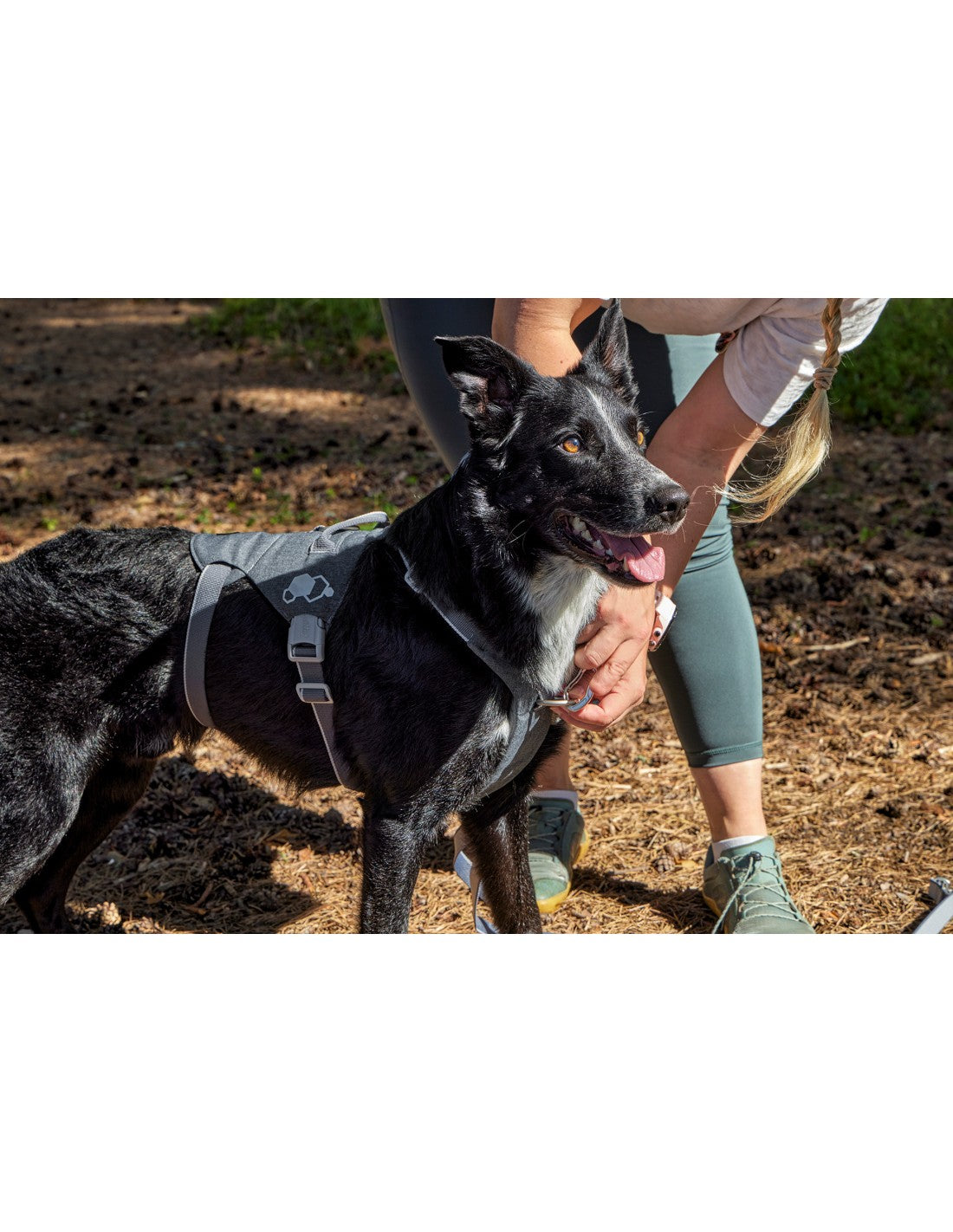 Pettorina ''Safeguard'" - Hurtta