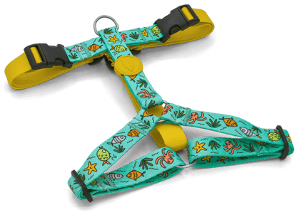Pettorina H "Ocean Trek" Recycled - Morso