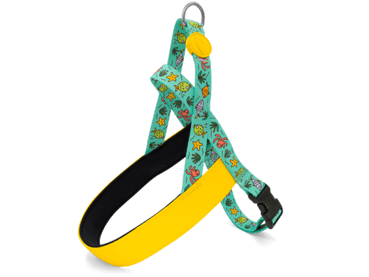 Pettorina norvegese "Ocean Trek" Recycled - Morso