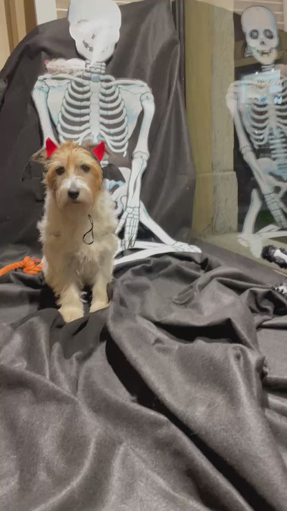 Cerchietto Diavoletto - Ferribiella