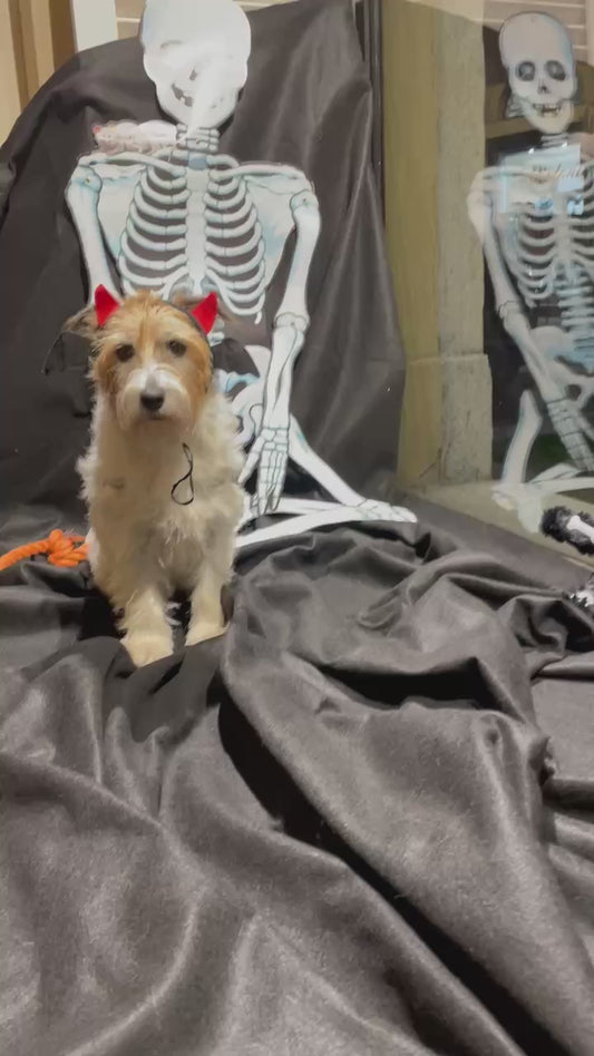 Cerchietto Diavoletto - Ferribiella