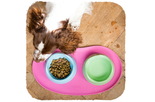 Tappetino Sottociotola "Beco Mat" - Beco Pets