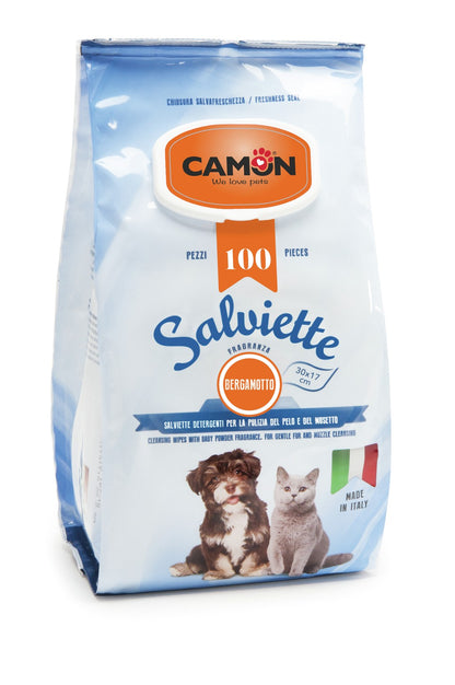 Salviette Igienizzanti "Maxi Formato"  (100 salviette) - Camon