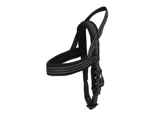 Pettorina "Outdoor" - Hurtta