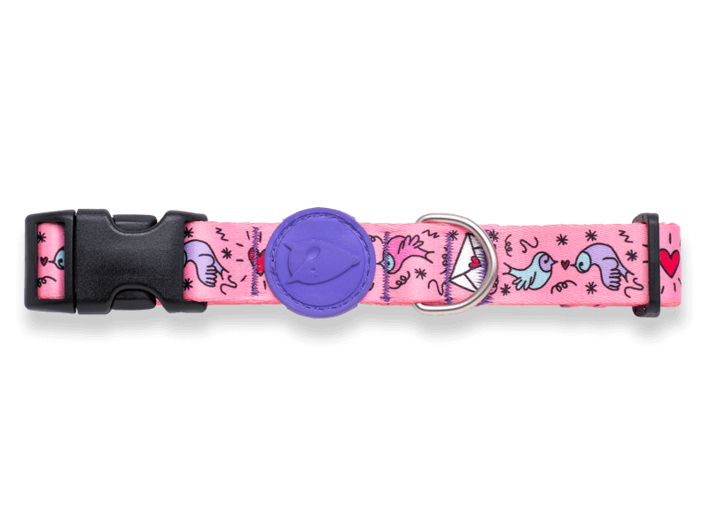 Collare "Sweet Tweet" RECYCLED - Morso