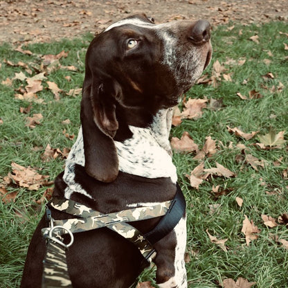 Pettorina norvegese “Full Metal Dog" - Morso